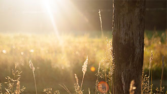 自动充值快速的DDOS攻击器