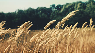 容量规划的ddos在线攻击工具