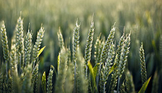 免费ddos在线攻击测试网站